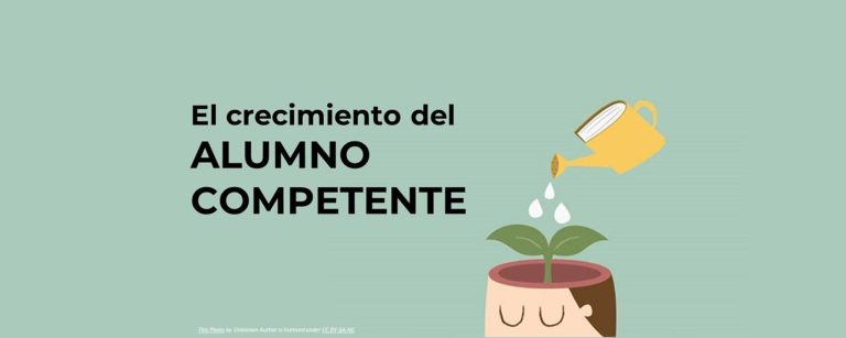 Transferencia del aprendizaje desde la diversidad